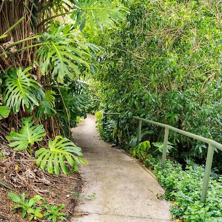 Hatea Treehouse Whangarei Ngoại thất bức ảnh