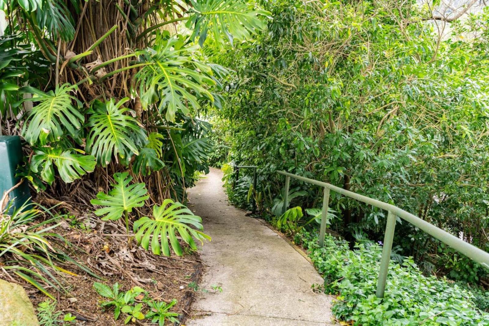 Hatea Treehouse Whangarei Ngoại thất bức ảnh