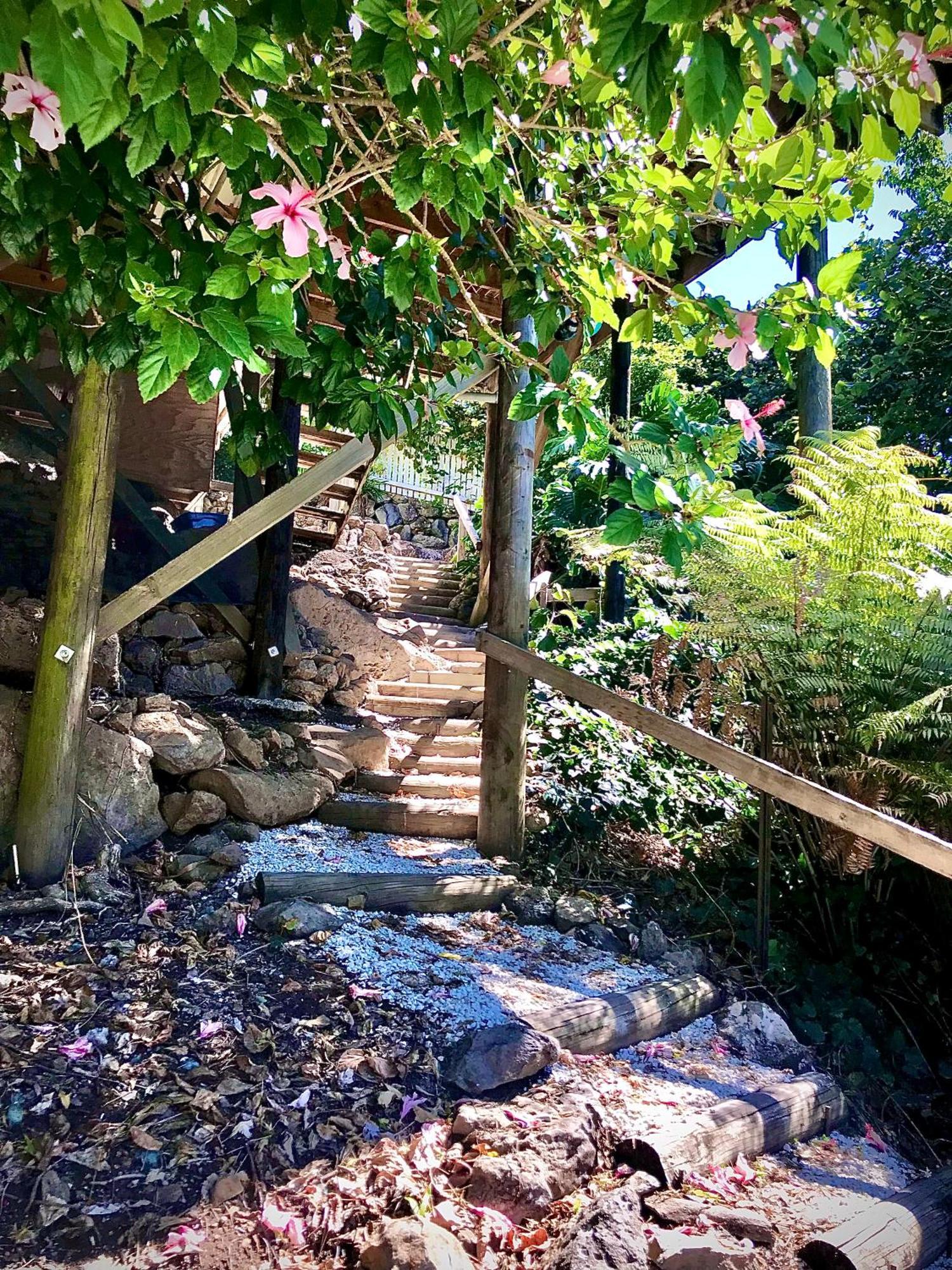 Hatea Treehouse Whangarei Ngoại thất bức ảnh